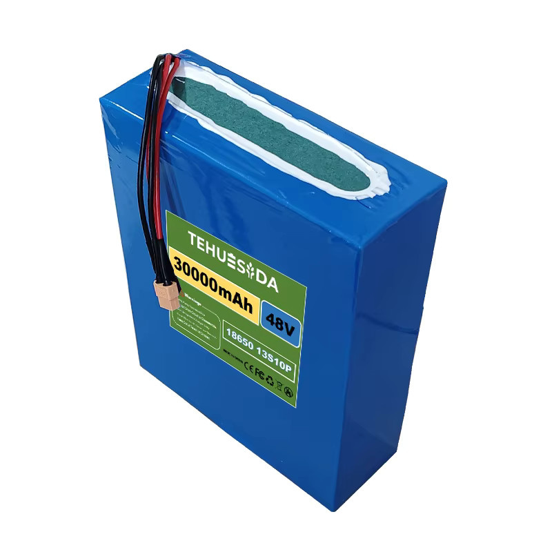 TEHUISIDA Lithium-Akku 48V 30Ah für Citycoco motorisierte Roller, Blau, 30000mAh mit eingebautem 20A BMS - Bild 2