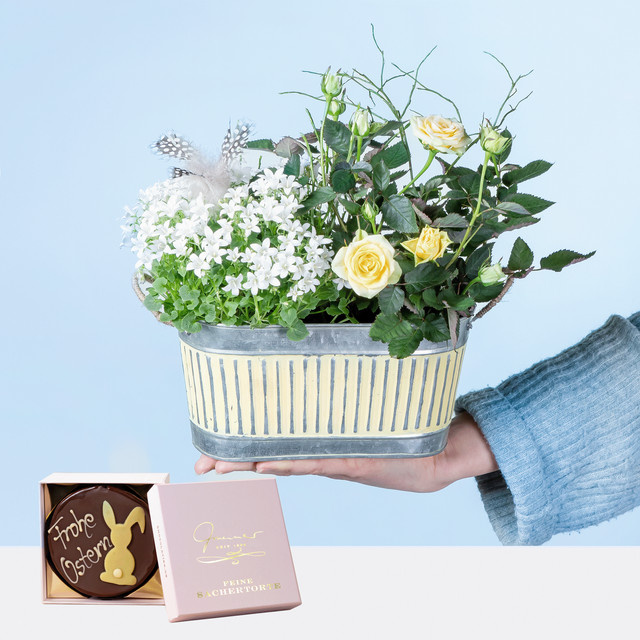 BLUME2000 Mini Oster Sachertorte 200g - Bild 1