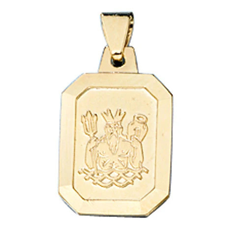 Colfem Anhänger Sternzeichen Wassermann, 333 Gelbgold, matt, Unisex - Bild 1