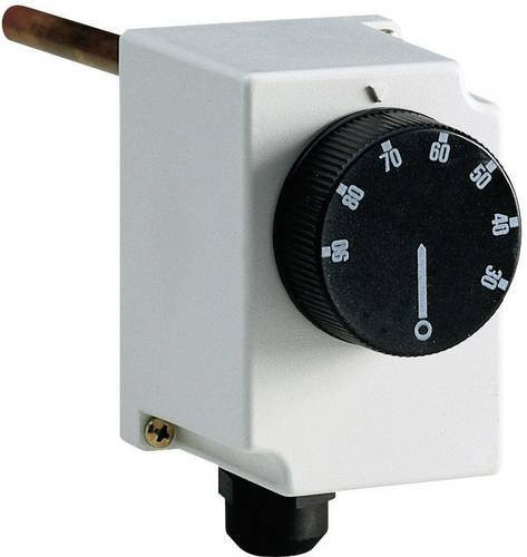 Perry Electric Industriethermostat 1TCTB065 Aufbau 30 bis 90°C in Weiß - Bild 1