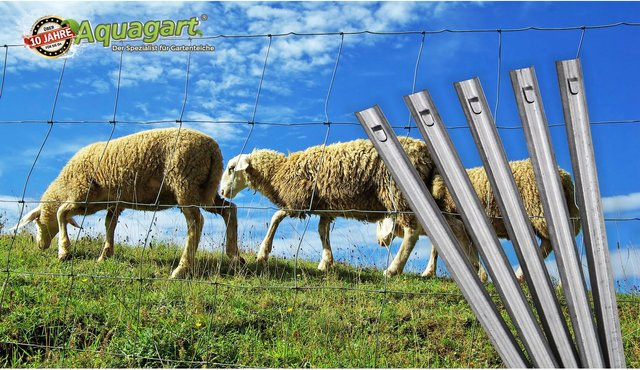 Aquagart W-Profil Zaunanker Erdanker für Wildzaun Forstzaun und Weidezaun, Farbe: Silber, Höhe: 50 cm - Bild 1