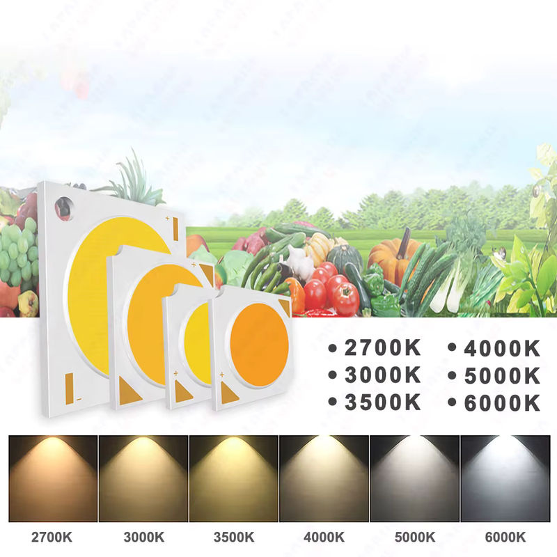 COB-LED-Wachstumslichter für Hydroponik mit Vollspektrum 400–840 nm für Zimmerpflanzen, Keimung und Blüten - Bild 3