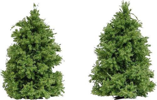 Busch Baum Lärche, Grün, 2-teiliges Set - Bild 1