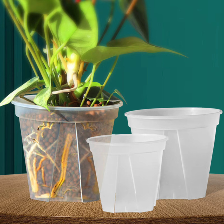 Durchsichtiger Orchideentopf aus Kunststoff von ACRDDK mit Belüftungslöchern, Farbe: transparent, B/T/H: 12,0 x 10,5 x 10,5 cm - Bild 2
