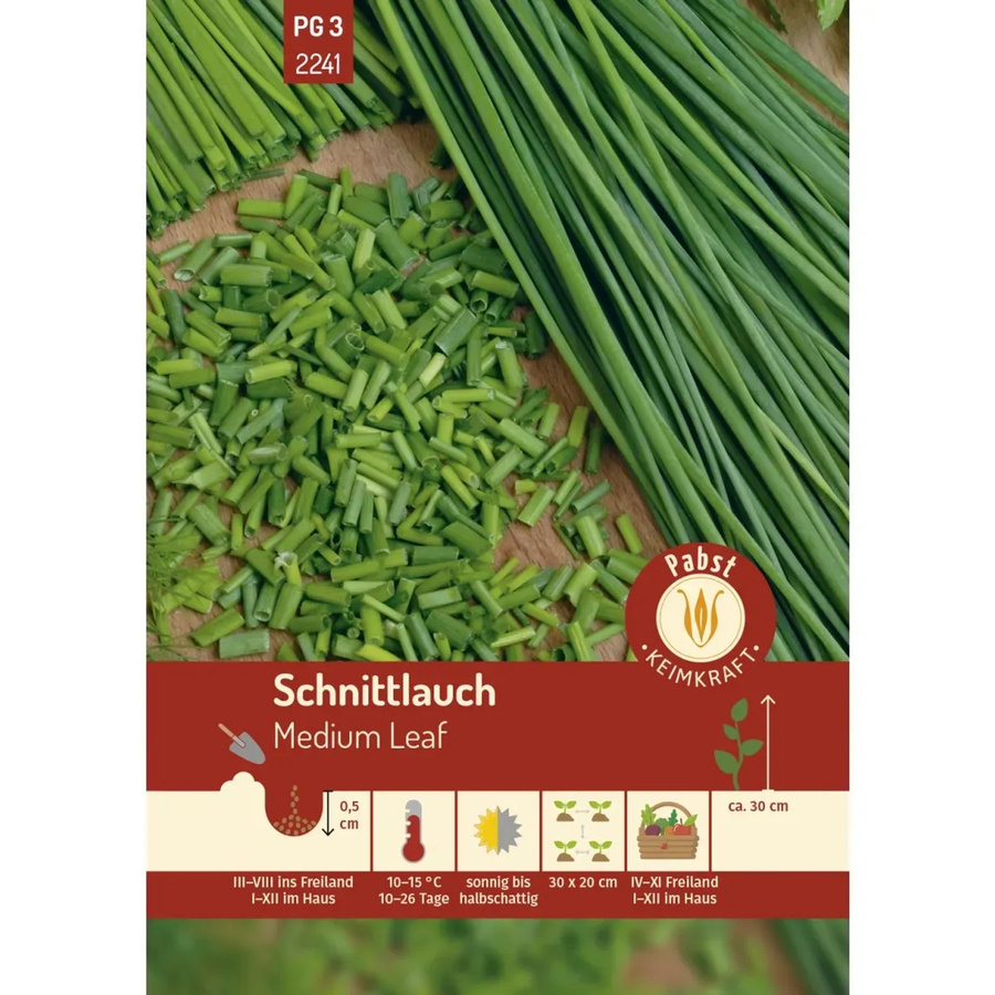 Pabst Keimkraft Schnittlauch Saatgut, mehrjährig, mittelröhrig, 200 g - Bild 2