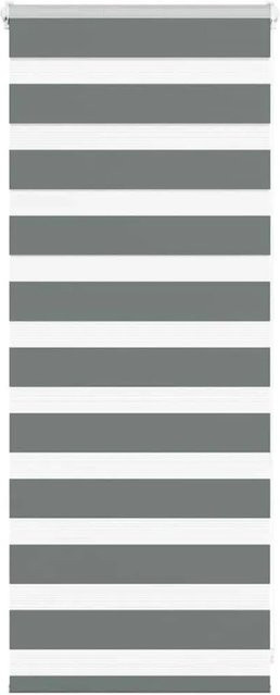 vidaXL Doppelrollo Day & Night Dunkelgrau, B: 65 cm, H: 100 cm, Polyester - Bild 1
