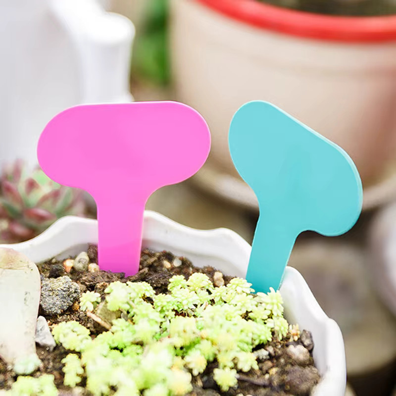 100 Stück Gartenetiketten aus Kunststoff in Bunt für die Pflanzenbeschriftung - Bild 3