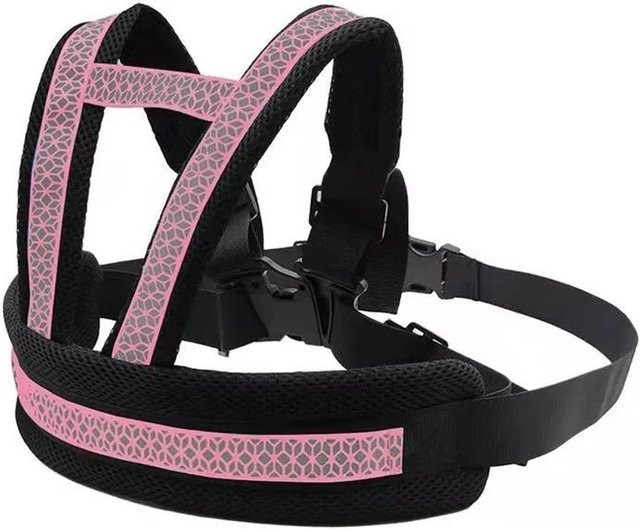 Laijing Motorrad-Sicherheitsgurt für Kinder mit zwei Griffen und reflektierendem Design in Rosa - Bild 1