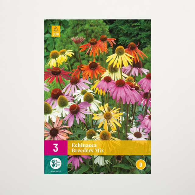 Sonnenhut Breeders Mix mit 3 Wurzeln von BLUME2000 - Bild 1