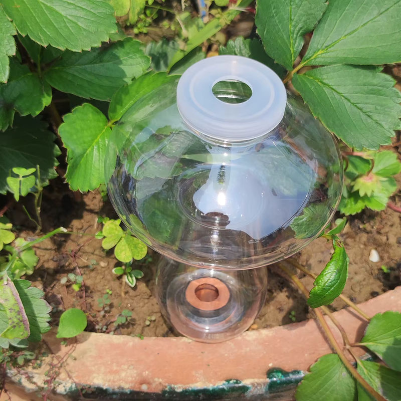 2er-Set Automatische Tropfbewässerung für Blumen und Pflanzen - Bild 4