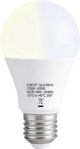 Shelly Duo Bulb E27 Gen3 LED-Leuchtmittel in Weiß mit Wi-Fi, Bluetooth und ZigBee, dimmbar - Bild 1