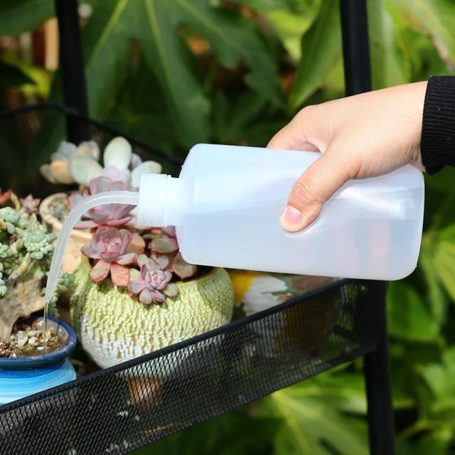 Transparente Quetschflasche mit gebogenem Auslauf für die Pflanzenpflege und Laborarbeit, 250 ml / 500 ml / 1000 ml - Bild 1