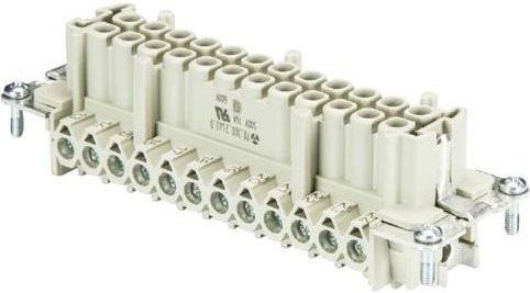 Wieland Electric Buchseneinsatz 70.300.2402.0 mit 24 Polen in Grau, 10 Stück - Bild 1