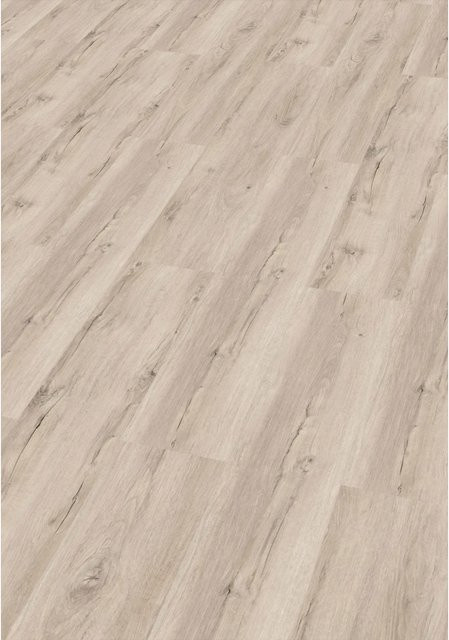 Check One Click-Vinylboden Brocker Feld Eiche in Braun und Beige als moderne Breitdiele in Holzoptik - Bild 1