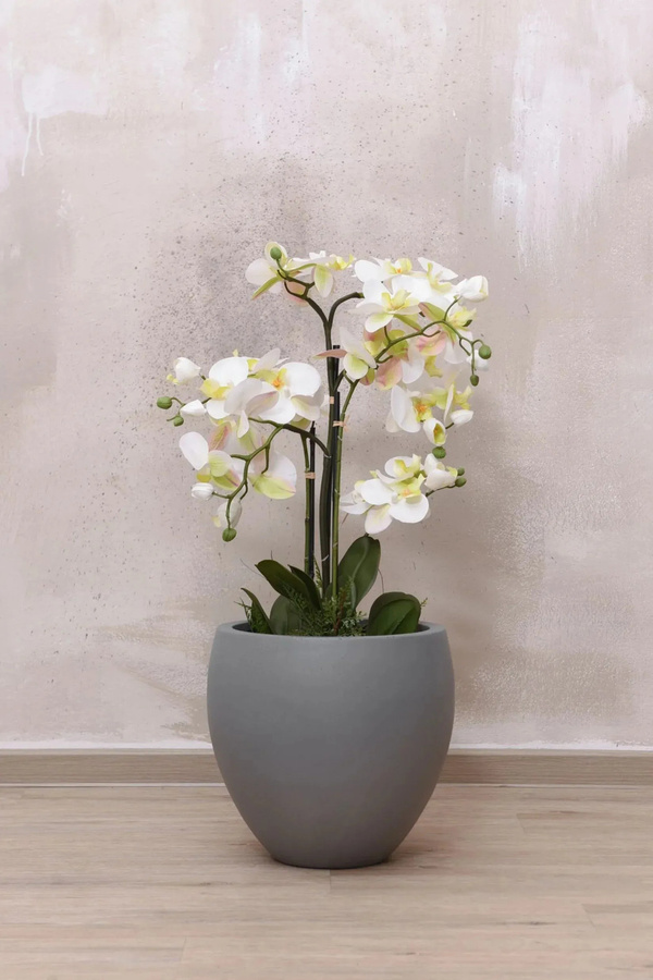 Pflanztopf Zorana von artplants, grau, Beton-Optik, rund, B/T/H: 30 x 30 x 30 cm - Bild 2