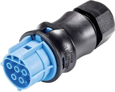 Wieland Electric X6.051.4053.9 Steckverbinder in Blau und Mehrfarbig - Bild 1