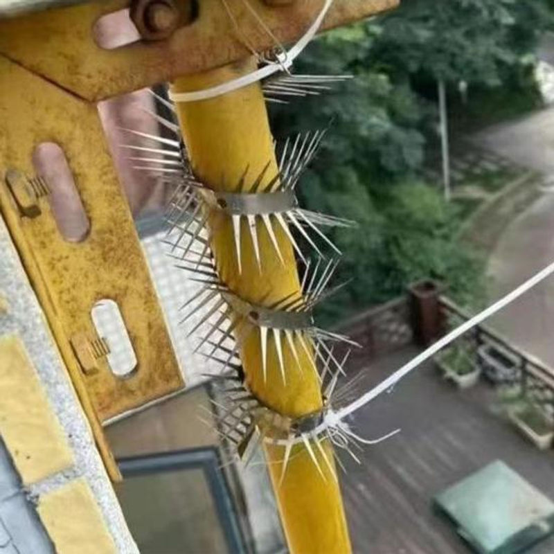 Amusedly Anti-Ratten-Spikes aus Edelstahl zur Vogelabwehr in Silber inklusive Kabelbindern - Bild 6
