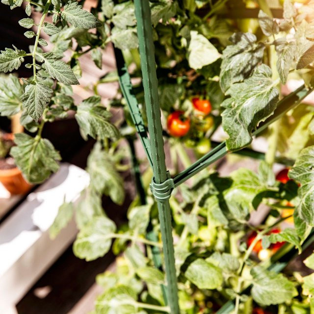 Powertec Rankturm für Tomaten aus Stahl und Kunststoff, Höhe: 150 cm, Breite: 30 cm - Bild 1