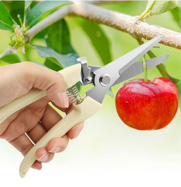 Vielseitige Gartenschere in Weiß für Blumen, Äste und Obstbäume - Bild 1