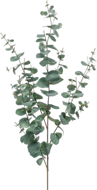 Künstlicher Eukalyptus Zweig Coca von Aplanta, Höhe: 115 cm - Bild 1