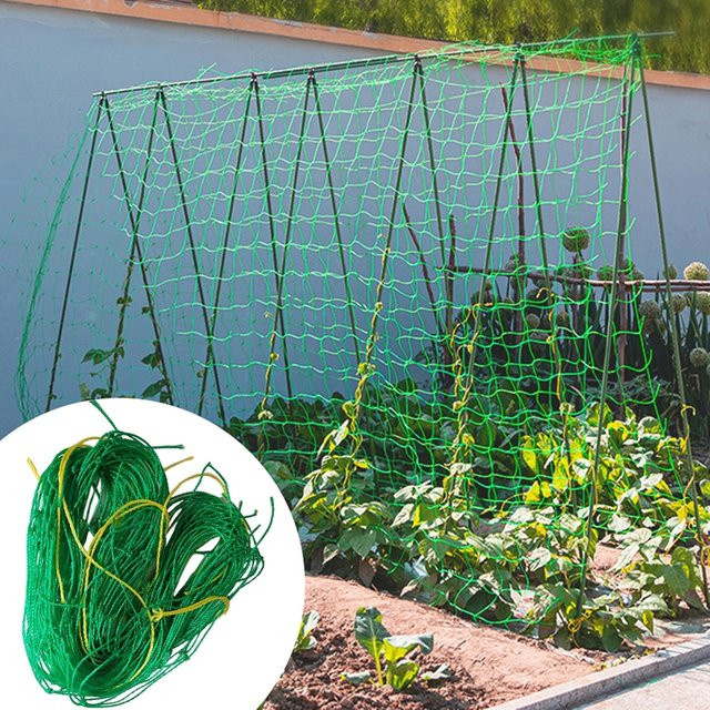 Grünes Nylon-Gartengitter als Kletternetz zur Unterstützung von Kletterpflanzen wie Gurken, Tomaten und Trauben - Bild 1