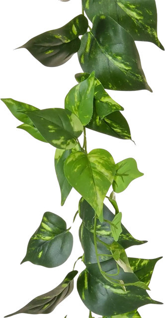 Künstliche Pothos Girlande Christian von artplants in Grün, Länge: 220 cm - Bild 1