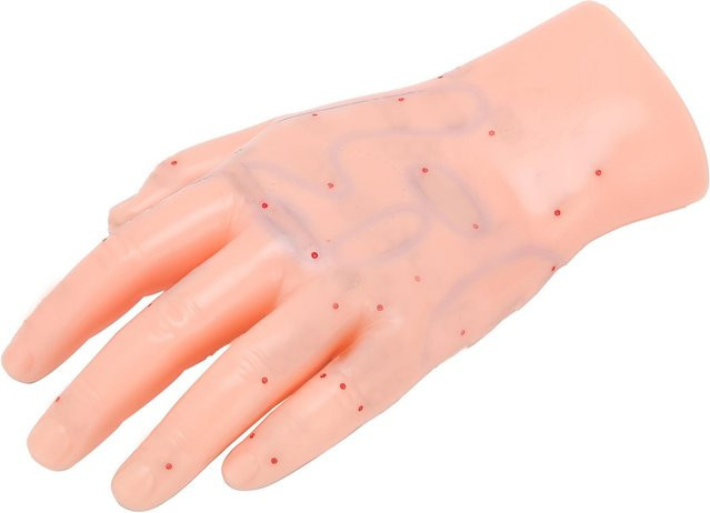 GoolRC Akupunkturpunkt Modell Hand, Lehrmodell, beige - Bild 1