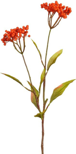 Mica Decorations Stechpalme-Zweig in Orange, Höhe: 75 cm - Bild 1