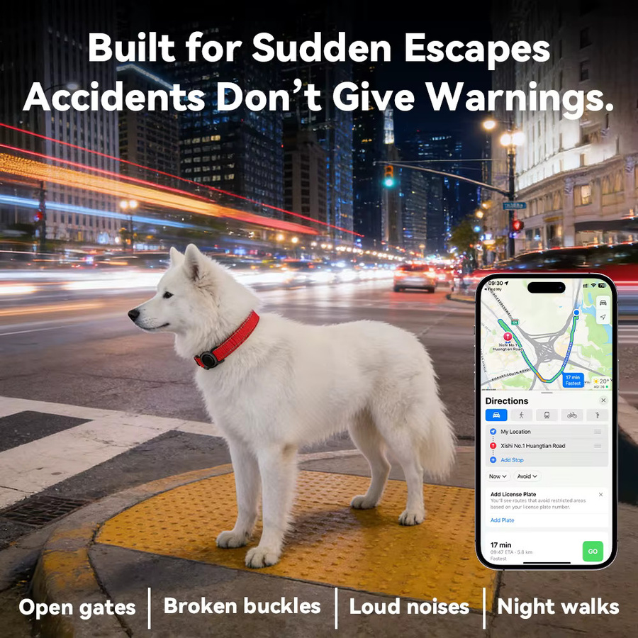 RSH Bluetooth-Tracker für Haustiere in Grau, kompatibel mit iOS und Apple Find My, Mini Anti-Verlust Smart Tag für Hunde- und Katzenhalsbänder - Bild 3