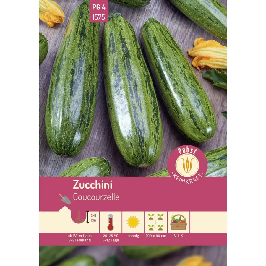 Pabst Keimkraft Zucchini Saatgut Coucourzelle wüchsig und rankenlos - Bild 2