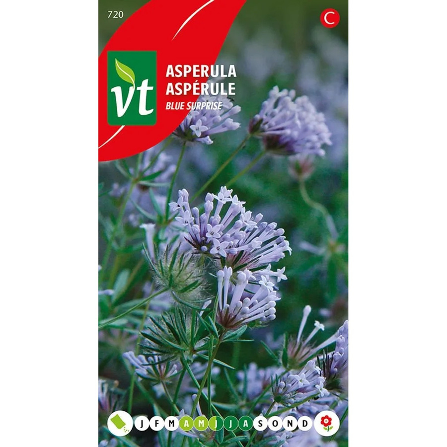 Arborix Asperula Blue Surprise Blumensamen für den Garten mit blauen Blüten, 0,5 g - Bild 2