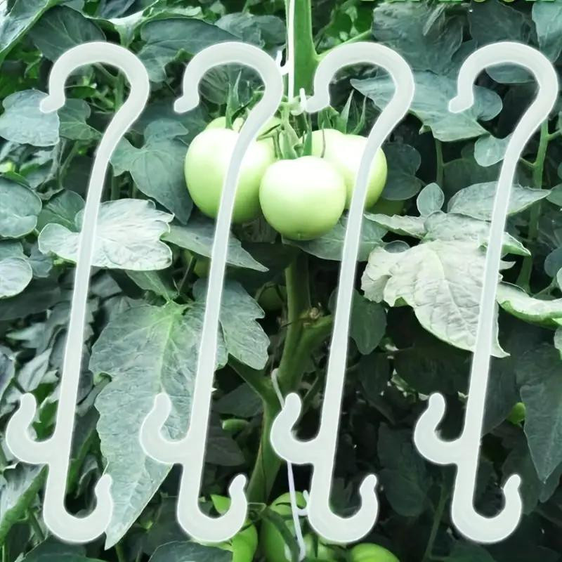 10 Stück Elberta J-förmige Pflanzensstützen aus PP-Material für Garten und Gewächshaus, Befestigungsclips für Kirschtomaten und Trauben, Farbe: Weiß oder Schwarz, Höhe: 13 cm - Bild 5