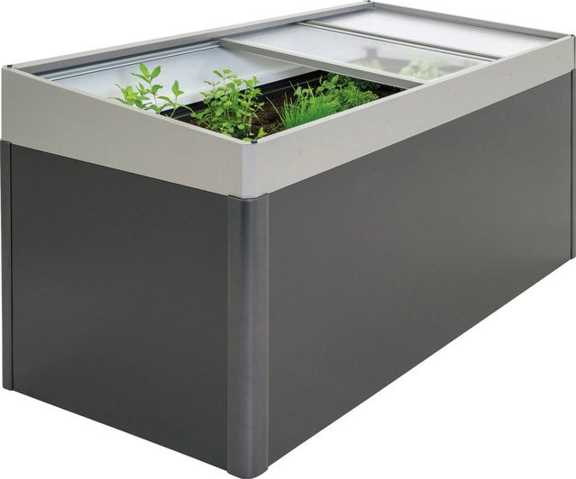 Biohort Metall Frühbeetaufsatz für Hochbeet in Quarzgrau-metallic, B/H/L: 200 x 23 x 101 cm - Bild 1