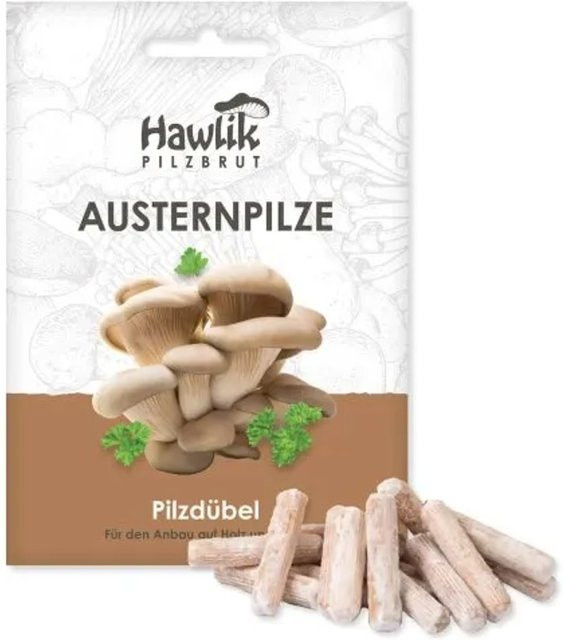 Hawlik Pilzbrut Myzel Dübelbrut für Austernpilze zur Pilzzucht auf Strohballen und Holzstämmen - Bild 1