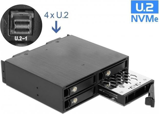 Delock Wechselrahmen für 4 x 2.5 Zoll U.2 NVMe SSD in Schwarz - Bild 2