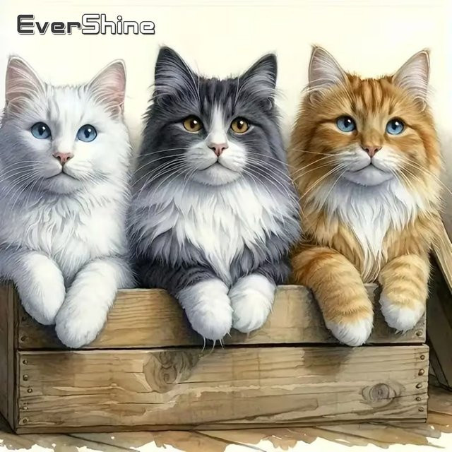 Evershine 5D DIY Diamantmalerei Katze Motiv für Erwachsene und Anfänger, Multicolour, B/B/H: 20 x 20 x 20 cm - Bild 1