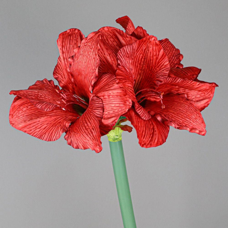 Jintangreen Künstliche Clivia-Blumen Zweig mit 4 Köpfen in Rot zur Dekoration für dein Wohnzimmer - Bild 2
