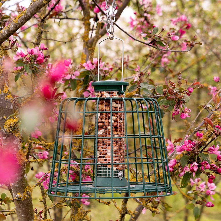 CJ Wildlife Schutzpaket für Erdnusssäule in Grün, Durchmesser: 23 cm - Bild 3