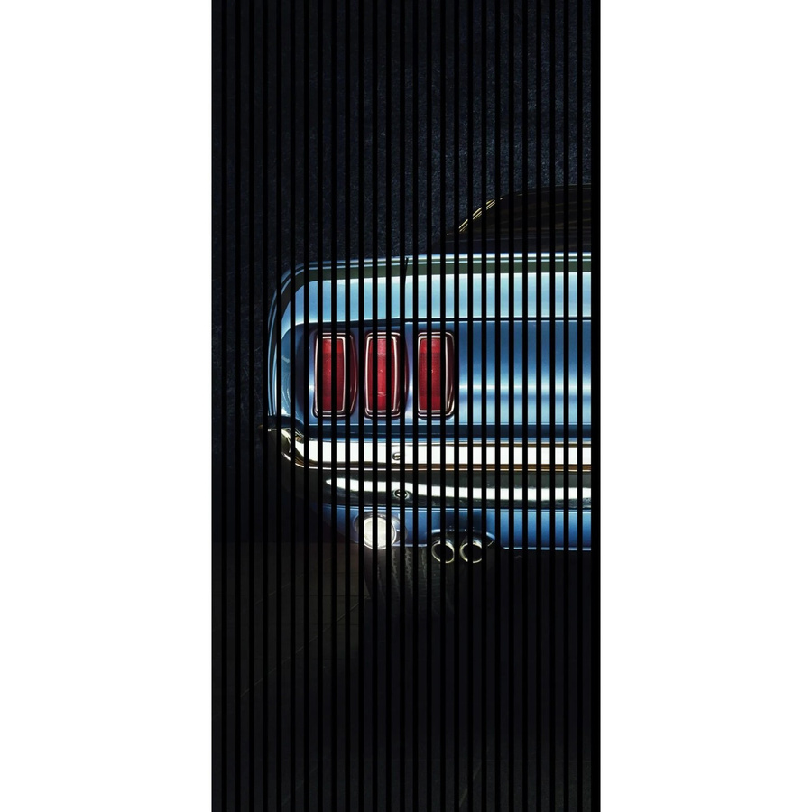 FN Acustico Akustikplatte für das Auto aus PET und MDF in Bunt, H x B x T: 2.400 x 1.133 x 19 mm - Bild 2