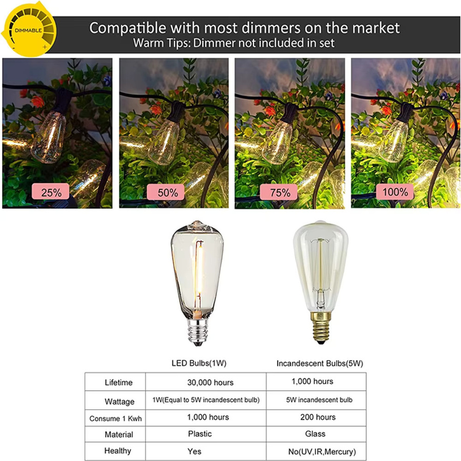 10er Set DACHAN LED Edison Ersatz Glühbirnen ST38 mit E12 Sockel, warmweißes Filament-Licht, transparentes Glas für Indoor und Outdoor - Bild 4