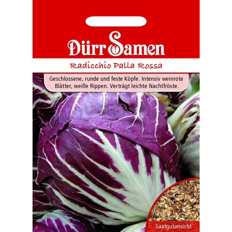 Dürr Radicchio Palla Rossa Saatgut für Freiland und unter Glas, 800 g - Bild 2