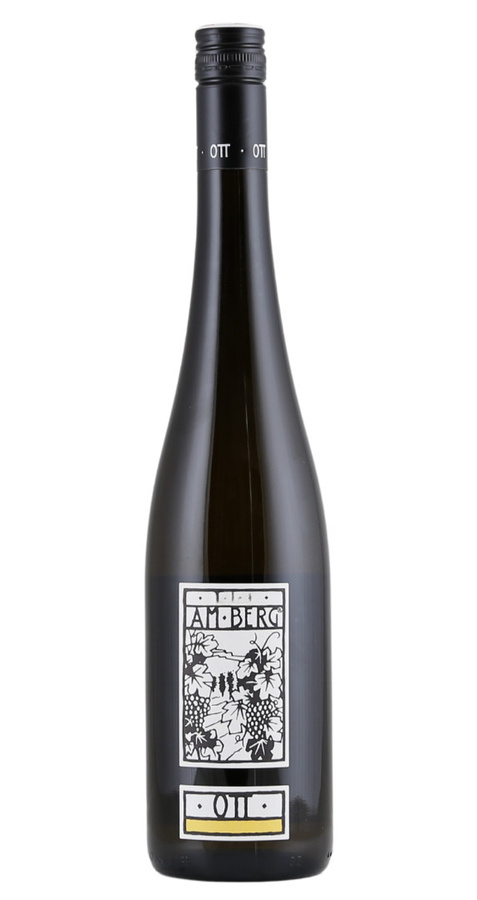 Bernhard Ott Grüner Veltliner am Berg, 2025, trocken, Weißwein, 0,75 l - Bild 2