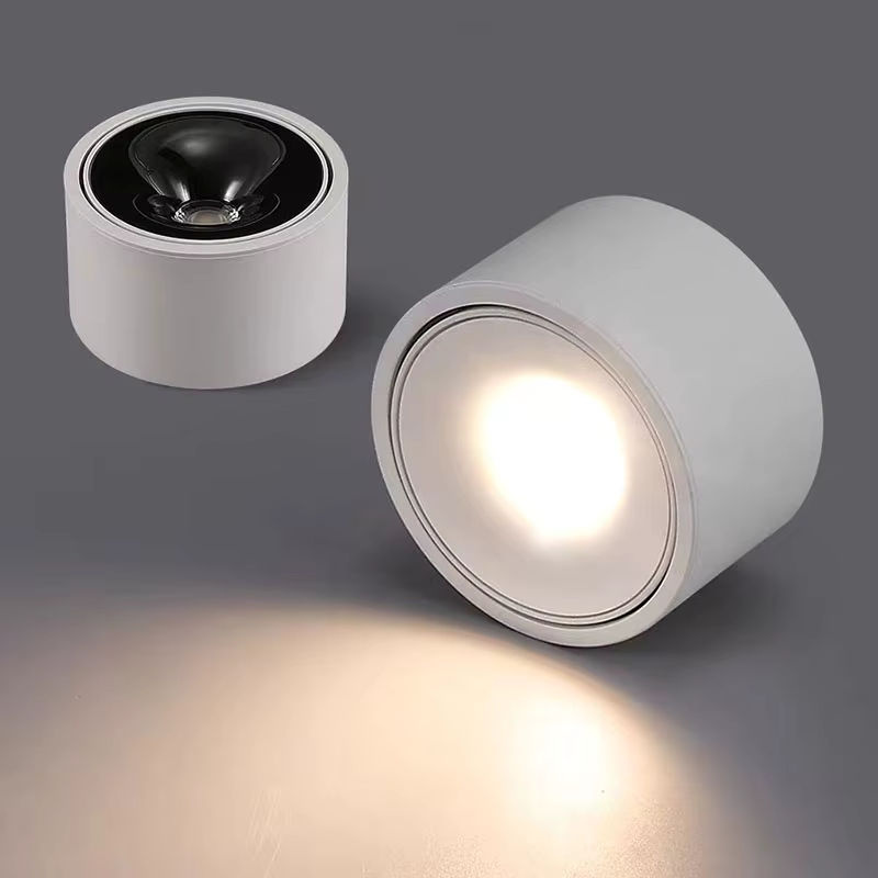 ROANJUNYH LED-Aufputz-Kleindeckenleuchte mit COB-Technologie, verstellbarer Winkel, Warmweiß 3000K, Weiß - Bild 3