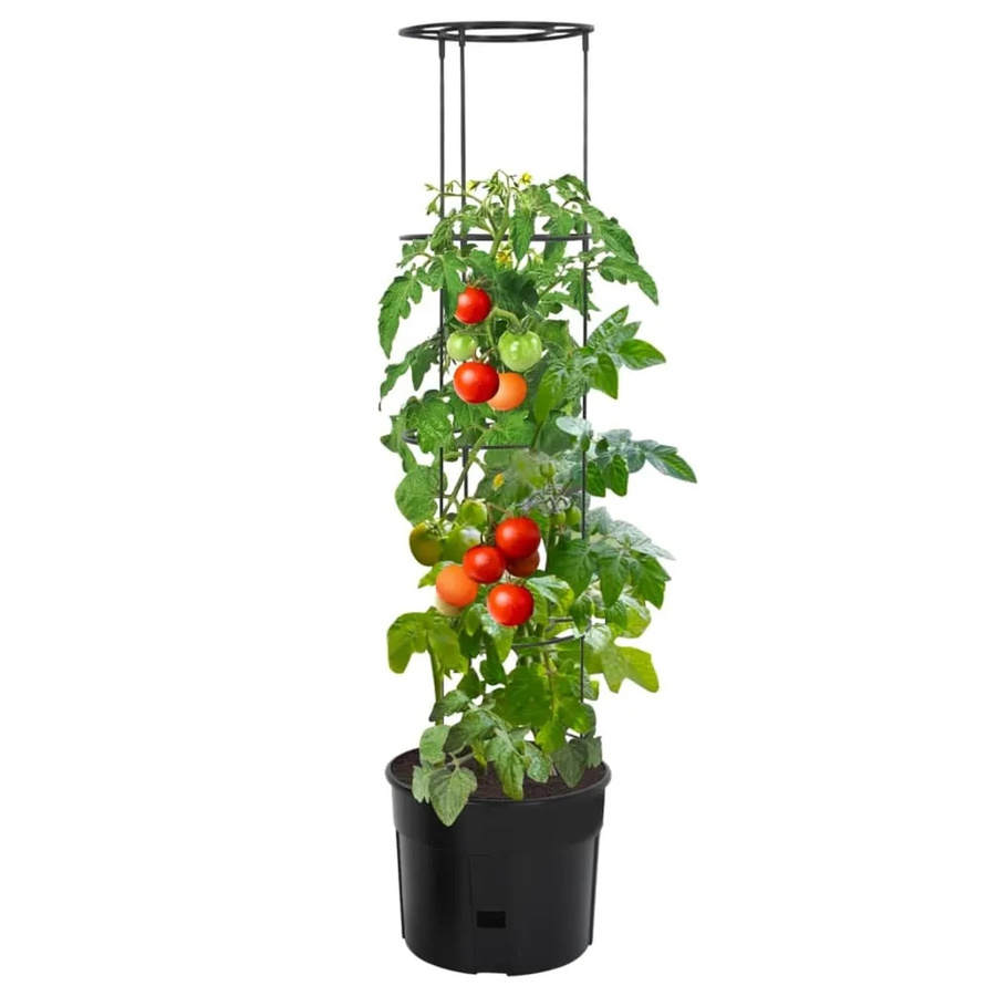 vidaXL Tomatentopf Anthrazit aus Polypropylen B/H: 39 x 150 cm - Bild 2