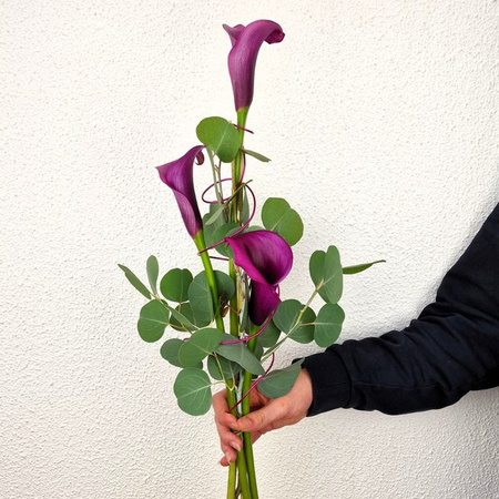Calla de luxe Arrangement Calla Eucalyptus Purple Mother's Day