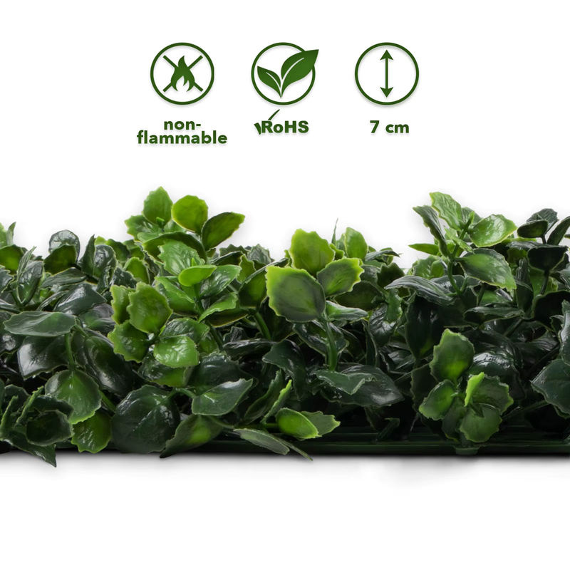 FLOORDIREKT Pflanzenwand Pachysandra grüne Kunstpflanzen zur Wandmontage, B/H: 50 x 50 cm - Bild 3
