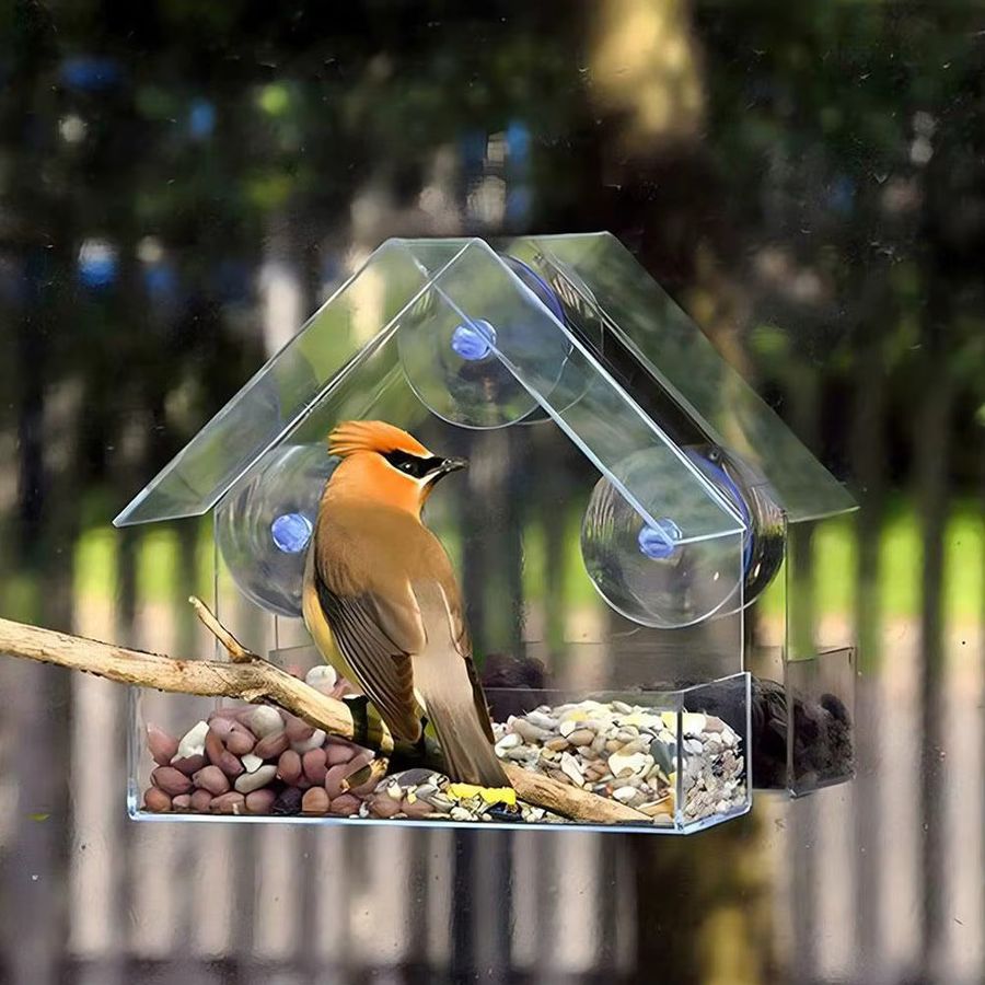 KITPIPI Acryl-Vogelfutterspender mit Klarsichtfenster und Saugnapf zum Aufhängen für Garten und Außenbereich - Bild 4