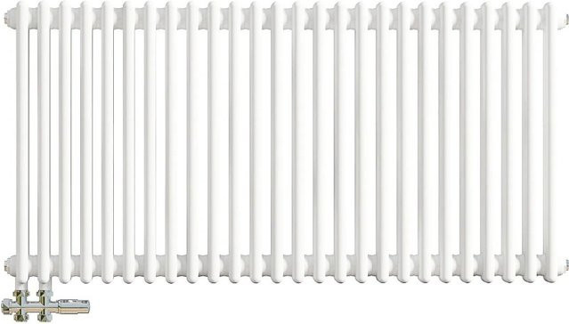 AICA Traditioneller 2-Spalten Heizkörper im Gusseisenstil, Weiß, B: 60,0 cm, H: 119,0 cm - Bild 1