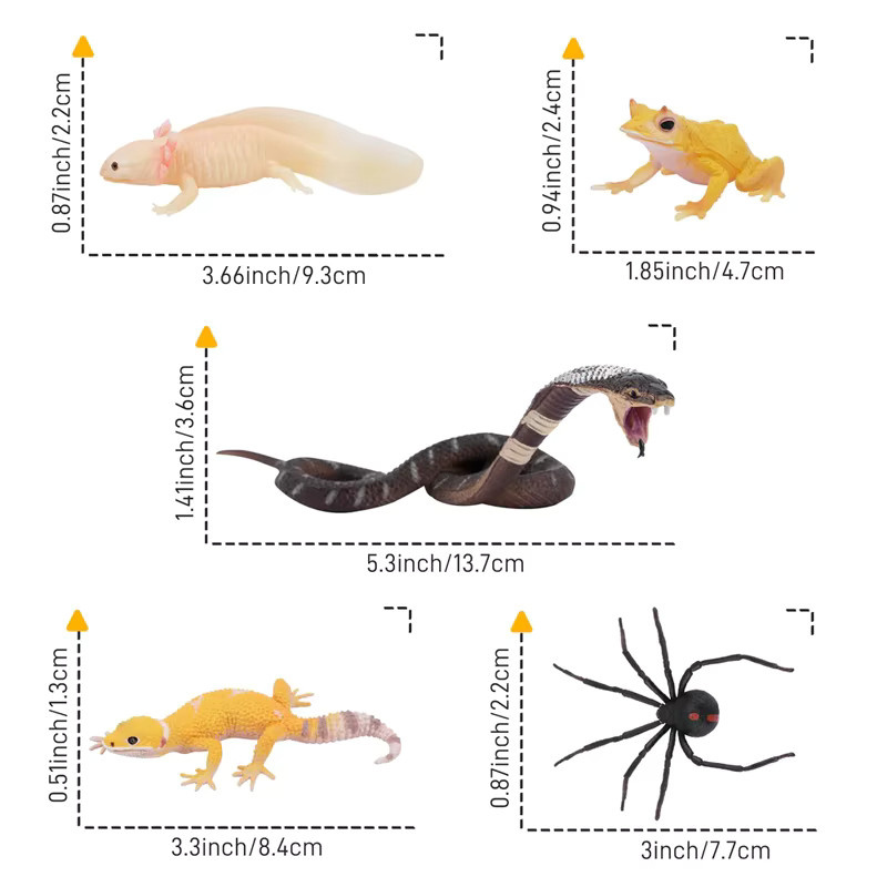 toymany Simulation Reptil Tiere Modell Spielzeug, 12-teiliges Set, Bunt / Mehrfarbig - Bild 2