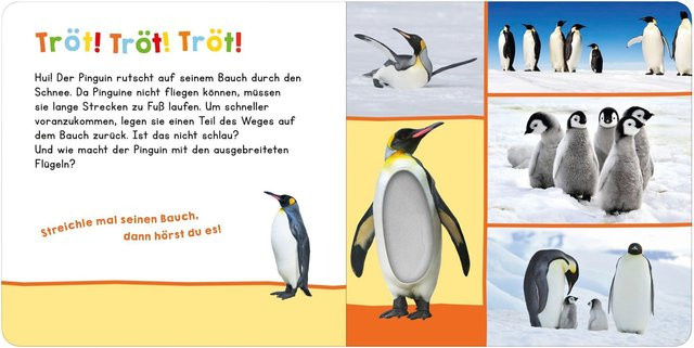 Hör mal rein, wer kann das sein? Im Winter: Streicheln und hören, Pappbilderbuch - Bild 1